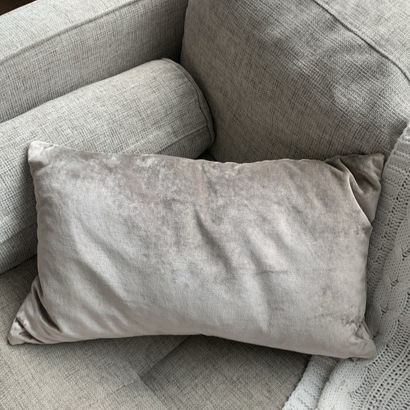 Williams Sonoma cream being champagne double sided two‎ tones accent pillow down - Picture 8 of 9